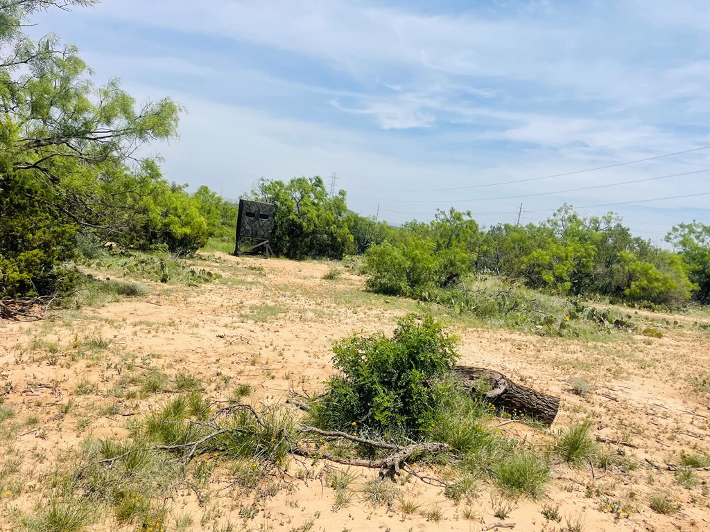 10357 Jerimiah Lane, San Angelo, Texas image 26