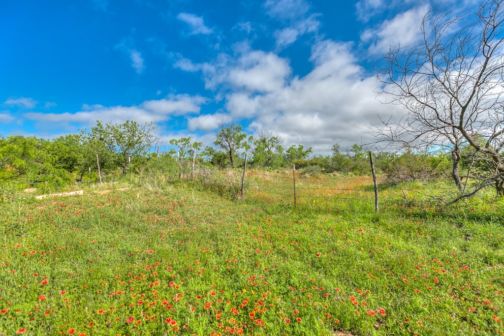00 Other, Robert Lee, Texas image 43