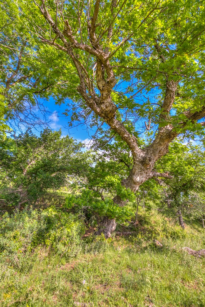 00 Other, Robert Lee, Texas image 48