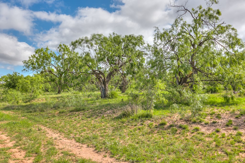00 Other, Robert Lee, Texas image 49