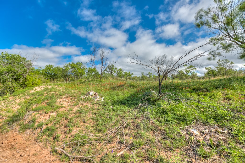 00 Other, Robert Lee, Texas image 42
