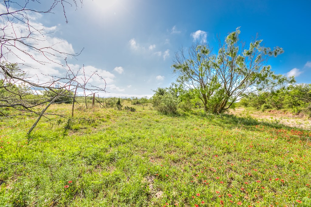 00 Other, Robert Lee, Texas image 44