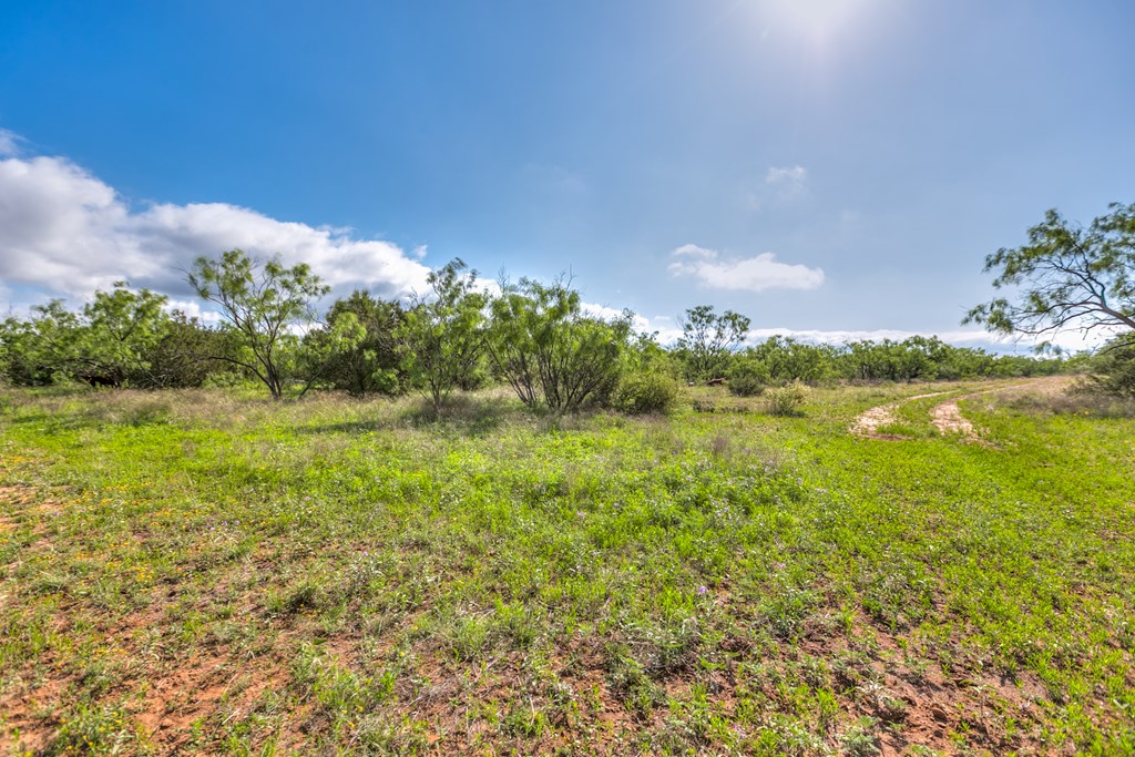 00 Other, Robert Lee, Texas image 40