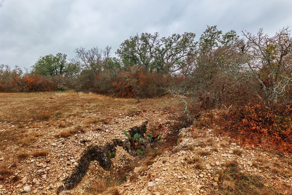 1755 CR County Rd 1520, Brady, Texas image 12