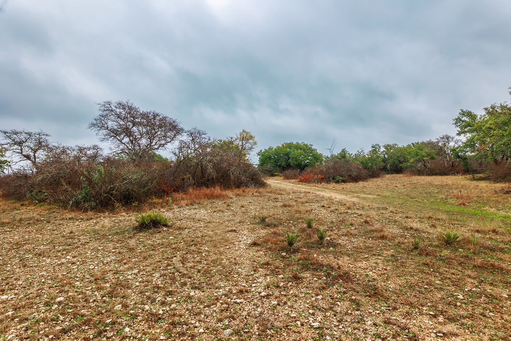 1755 CR County Rd 1520, Brady, Texas image 15