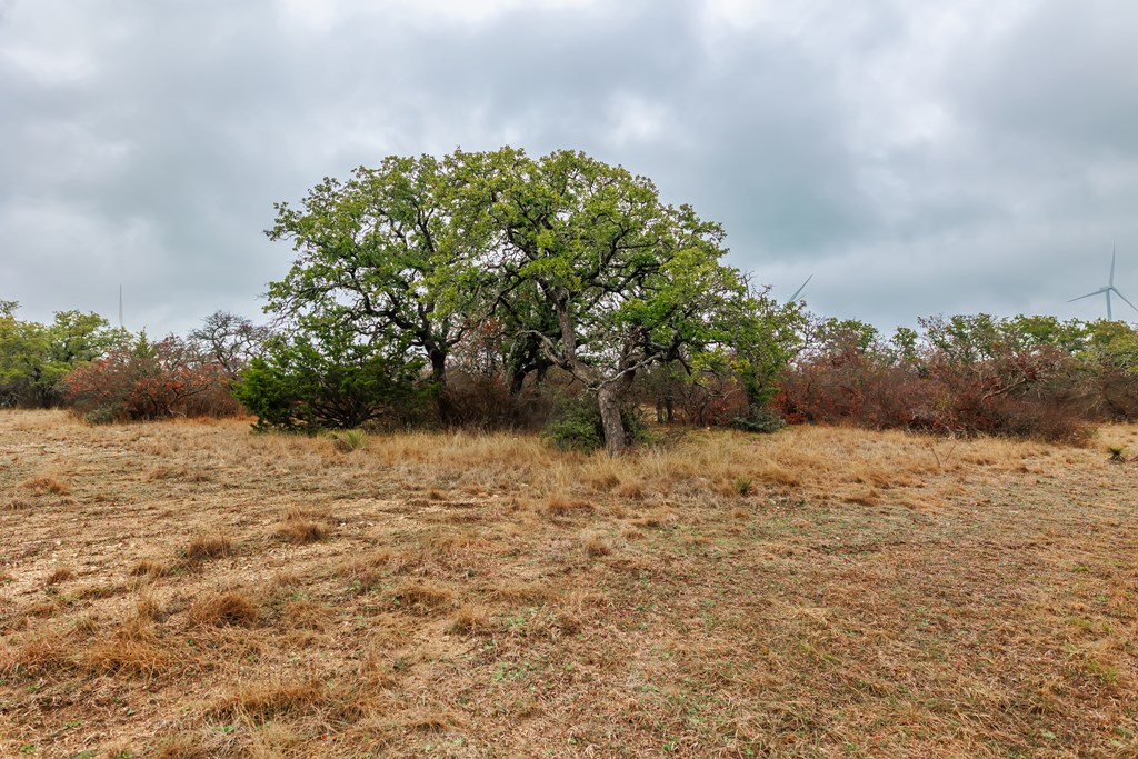 1755 CR County Rd 1520, Brady, Texas image 24