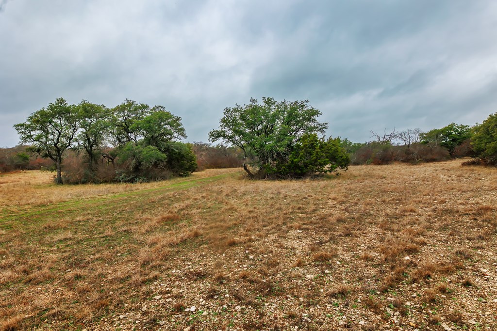 1755 CR County Rd 1520, Brady, Texas image 14