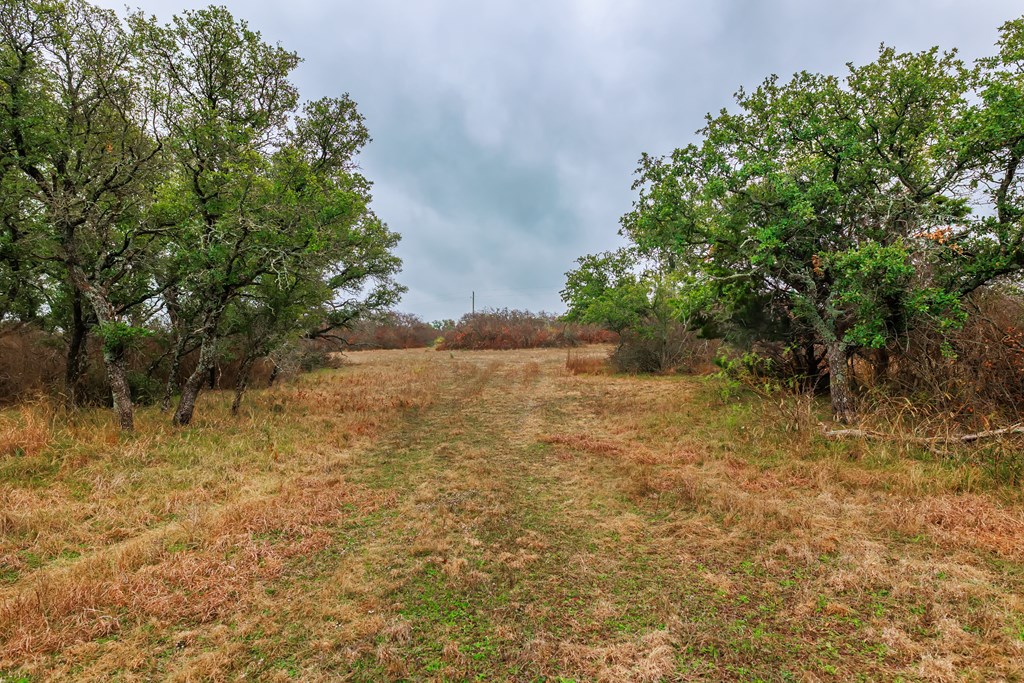 1755 CR County Rd 1520, Brady, Texas image 18