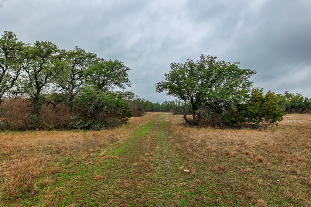 1755 CR County Rd 1520, Brady, Texas image 16