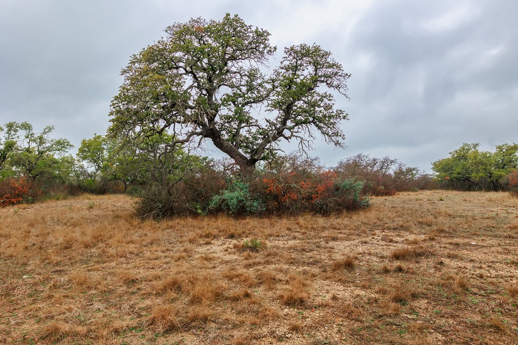 1755 CR County Rd 1520, Brady, Texas image 23