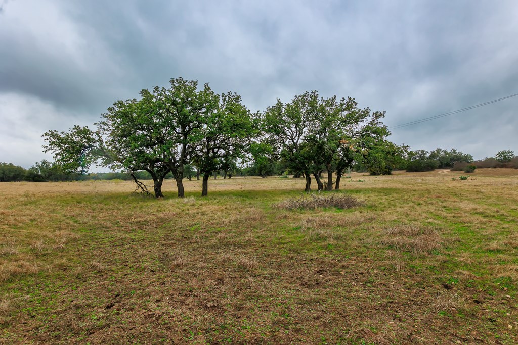 1755 CR County Rd 1520, Brady, Texas image 4