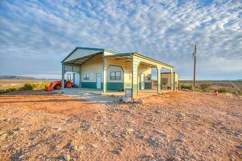 Vacant Land For Sale - 326 Menielle Road<br/> Coke County, Robert Lee, TX 76945