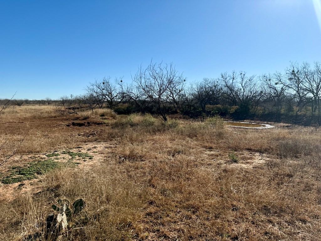 00 W Hwy 158, Bronte, Texas image 9