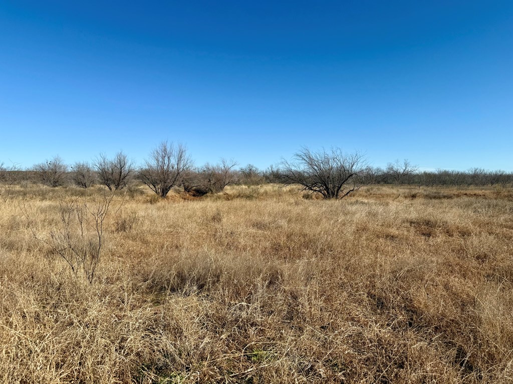 00 W Hwy 158, Bronte, Texas image 11