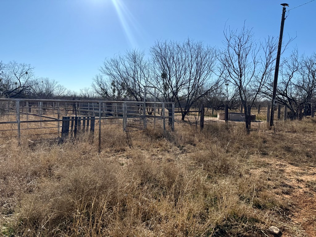 00 W Hwy 158, Bronte, Texas image 4