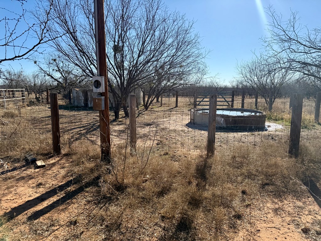 00 W Hwy 158, Bronte, Texas image 5