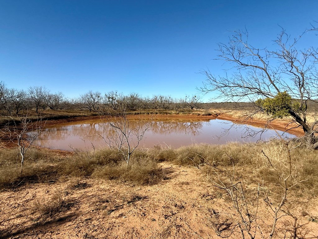 00 W Hwy 158, Bronte, Texas image 12