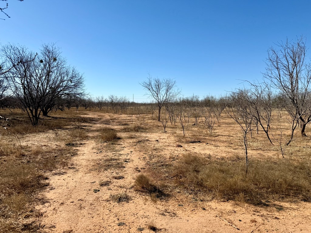 00 W Hwy 158, Bronte, Texas image 14