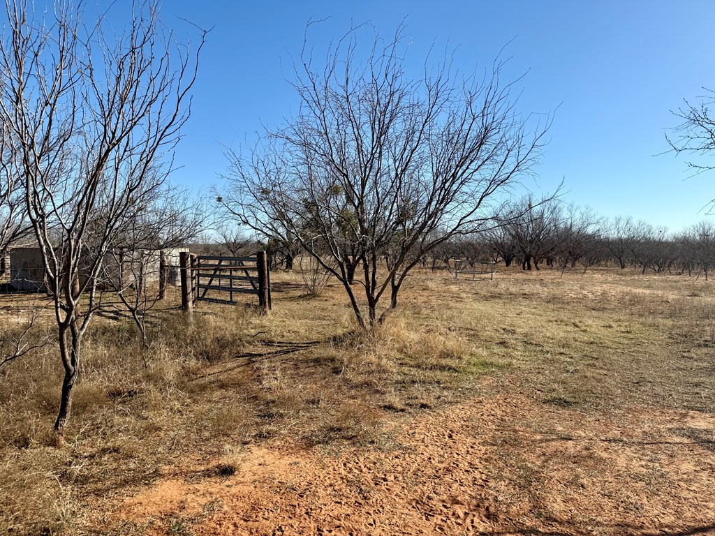 00 W Hwy 158, Bronte, Texas image 7