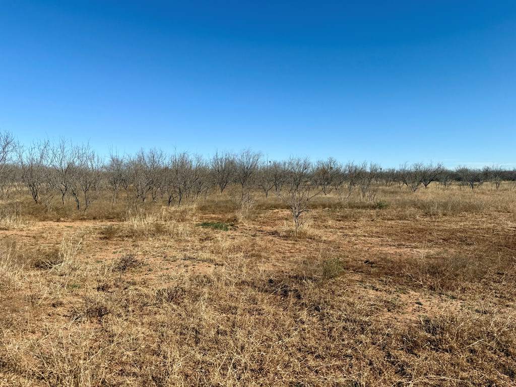 00 W Hwy 158, Bronte, Texas image 10