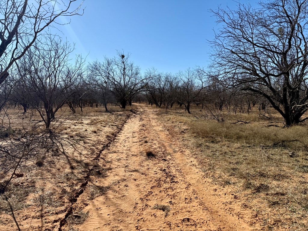 00 W Hwy 158, Bronte, Texas image 8