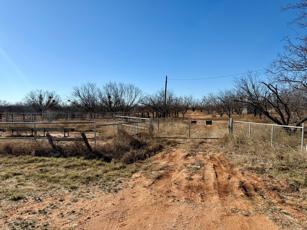 00 W Hwy 158, Bronte, Texas image 2