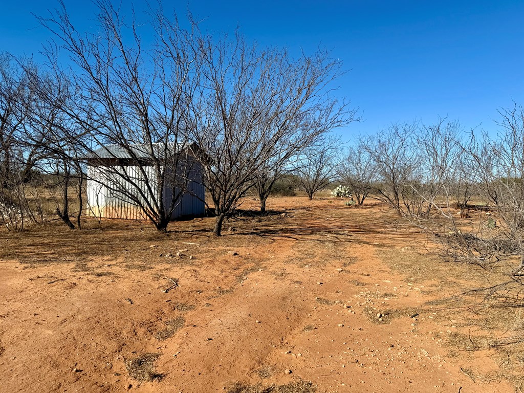 00 W Hwy 158, Bronte, Texas image 6