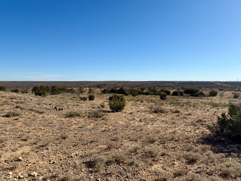 00 W Hwy 158, Bronte, Texas image 19