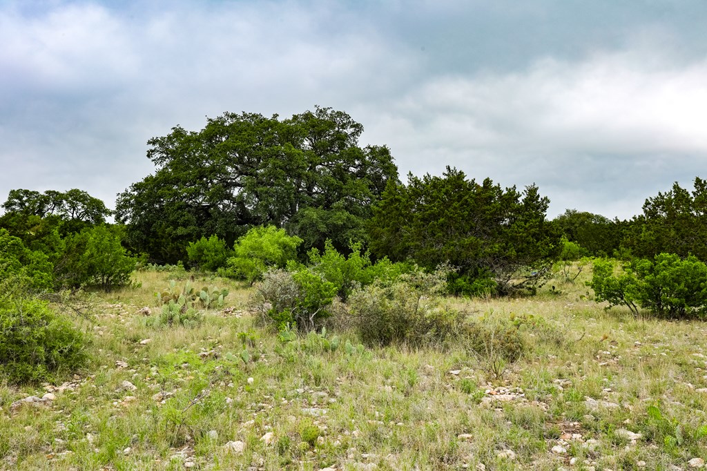 669 Private Rd 3523, Roosevelt, Texas image 4