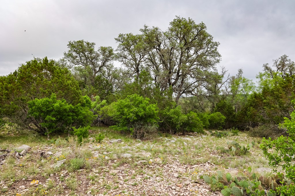 669 Private Rd 3523, Roosevelt, Texas image 8
