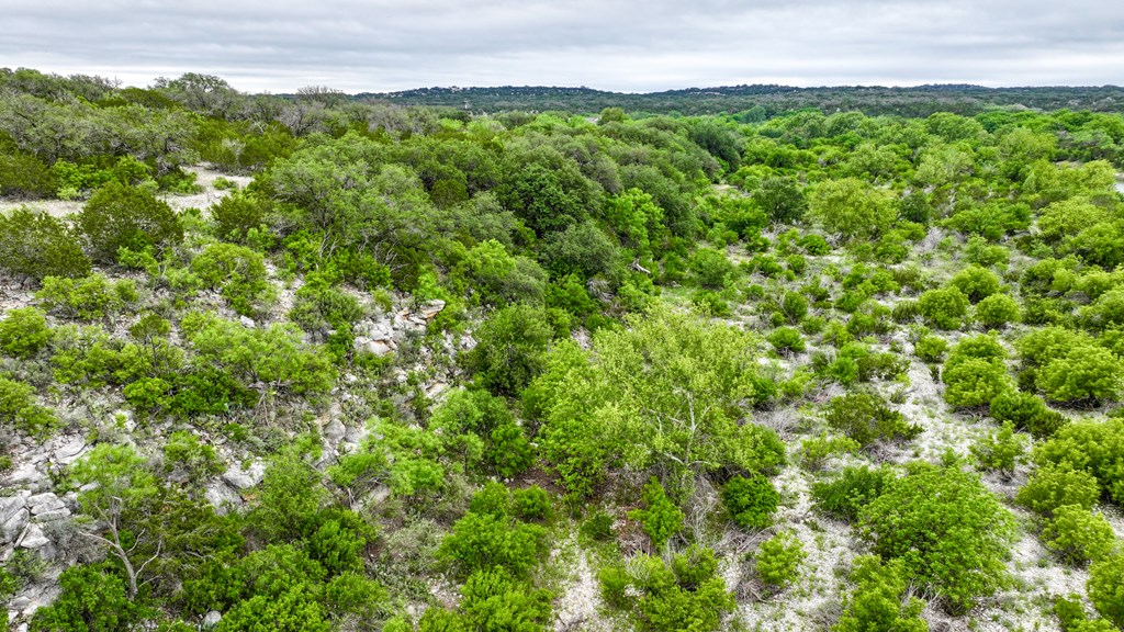 669 Private Rd 3523, Roosevelt, Texas image 14