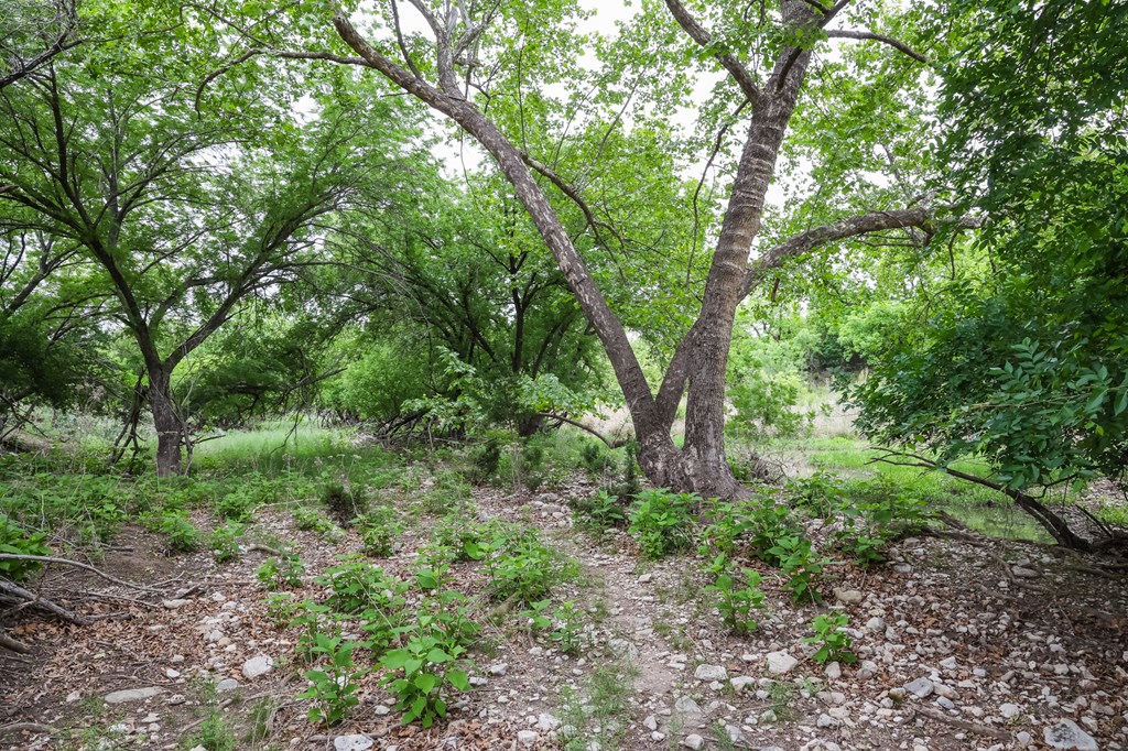669 Private Rd 3523, Roosevelt, Texas image 18