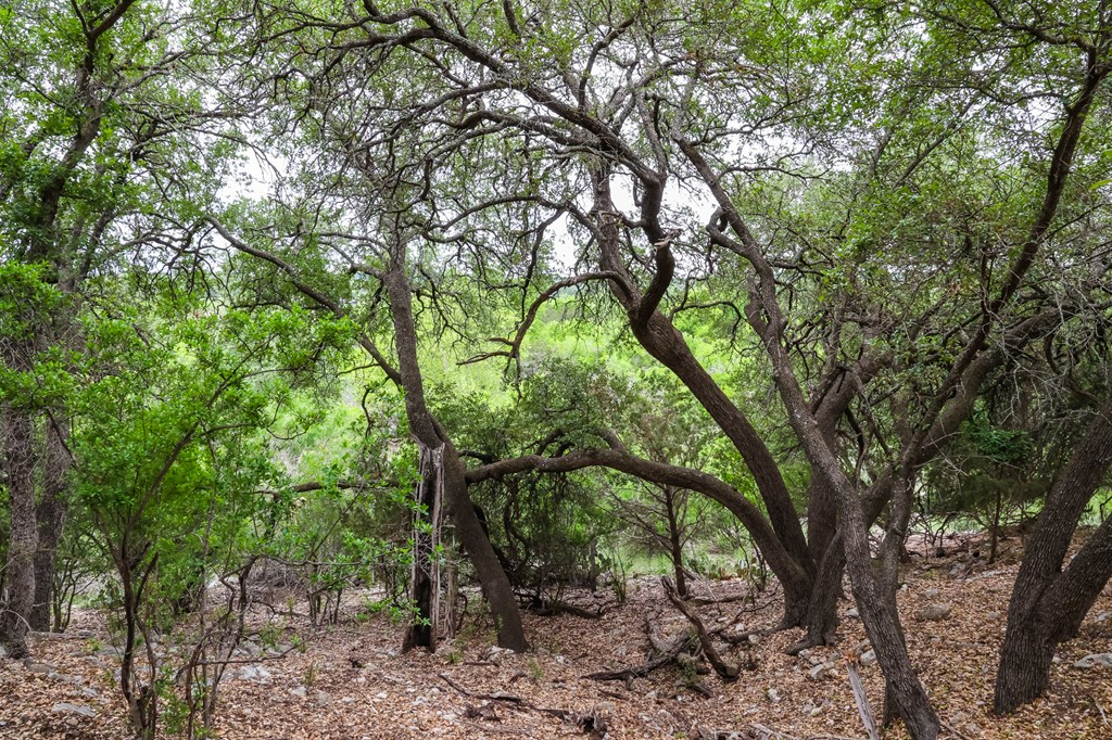 669 Private Rd 3523, Roosevelt, Texas image 17