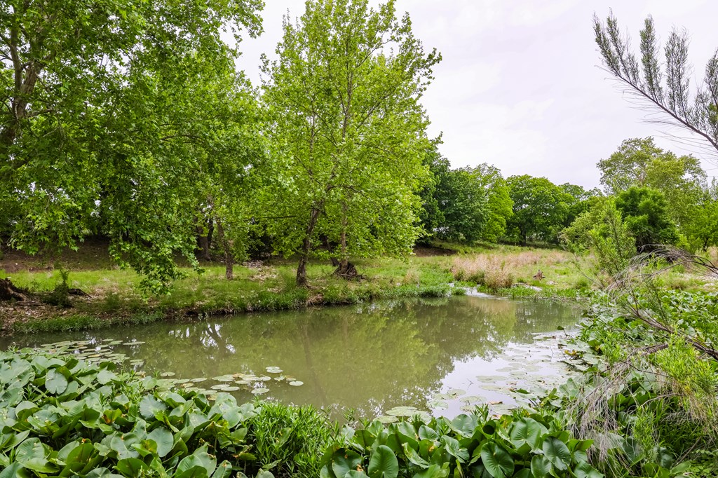 669 Private Rd 3523, Roosevelt, Texas image 15