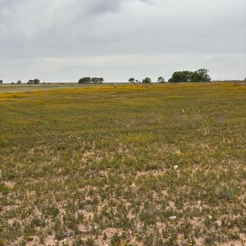 00 Private Rd 3922, Miles, Texas image 7