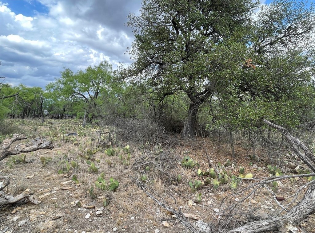 600 Swaim Rd, Eden, Texas image 4