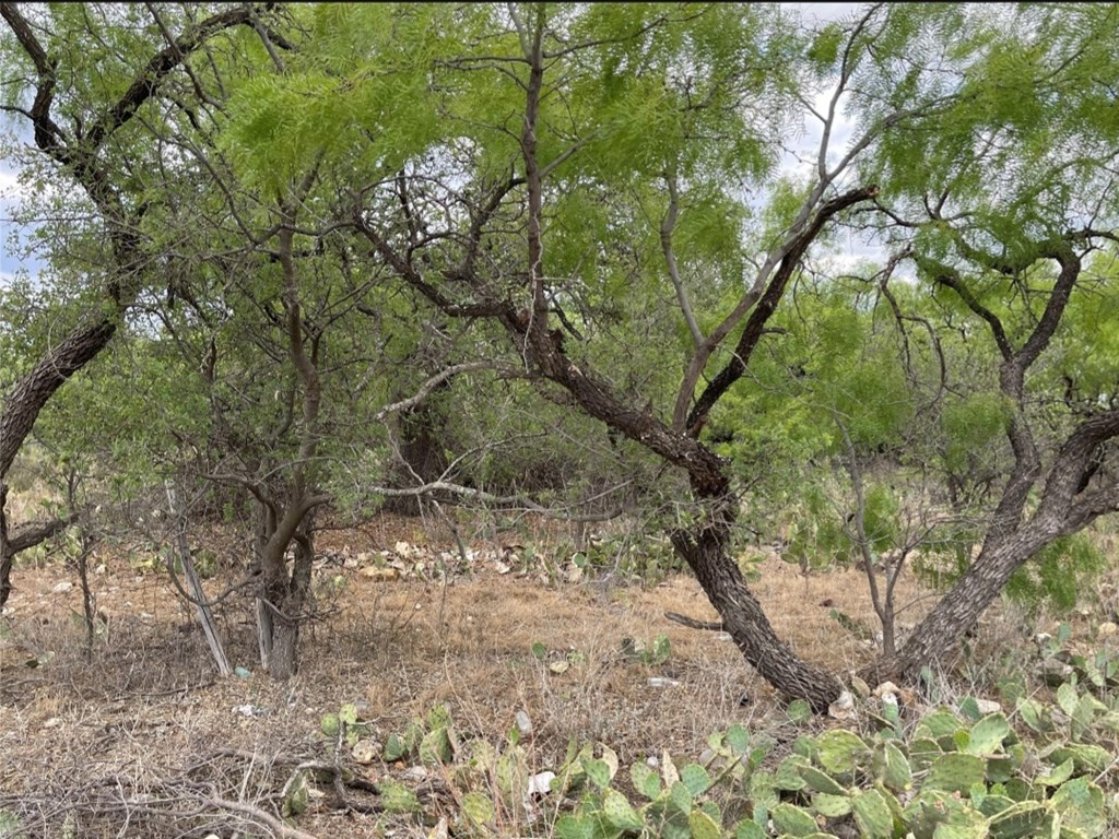 600 Swaim Rd, Eden, Texas image 3