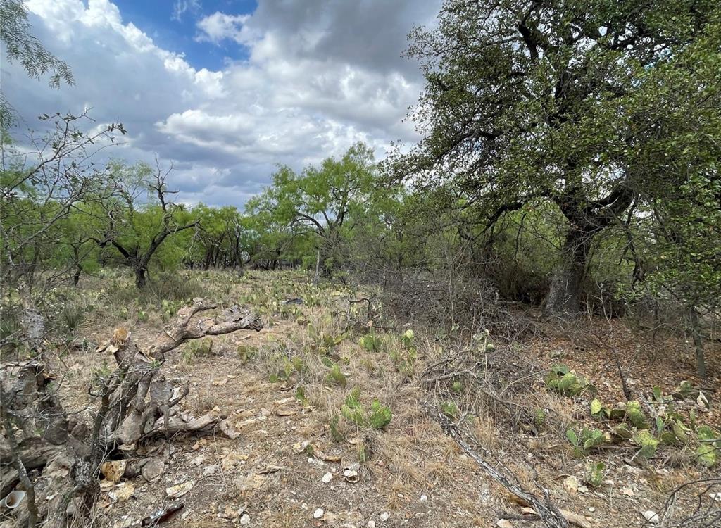 600 Swaim Rd, Eden, Texas image 1