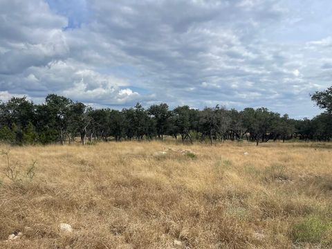 Homes For Sale - 0000 Fm 2084<br/> Eldorado, TX 76936