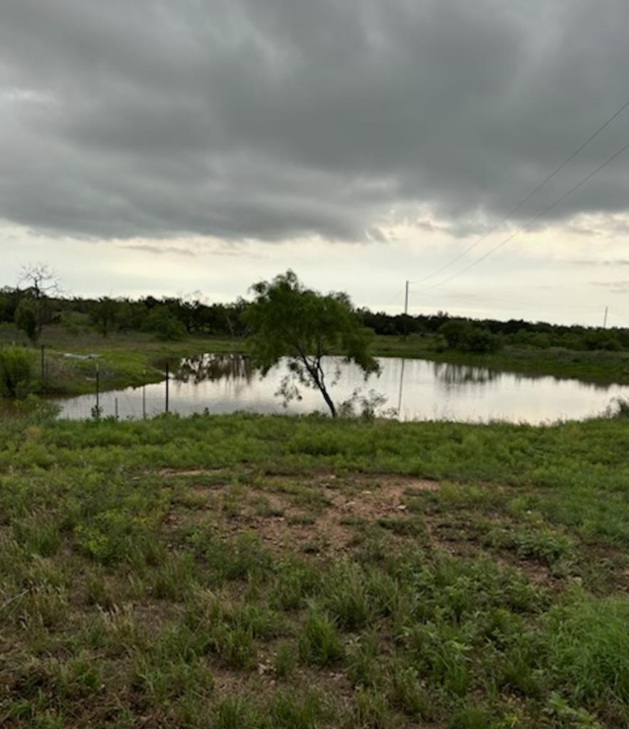 544 Private Rd 3922, Miles, Texas image 10