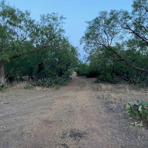 000 Private Rd 3922, Miles, Texas image 12