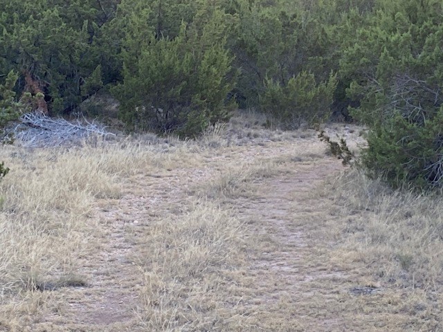 000 Private Rd 3922, Miles, Texas image 7