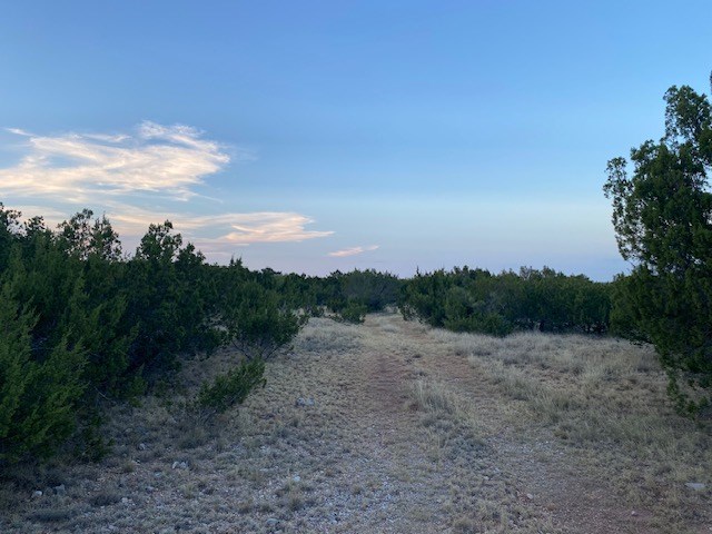 000 Private Rd 3922, Miles, Texas image 16