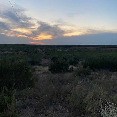 000 Private Rd 3922, Miles, Texas image 17