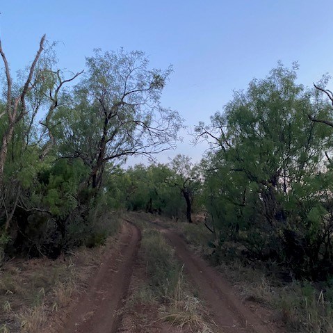 000 Private Rd 3922, Miles, Texas image 6