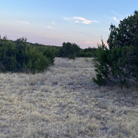 000 Private Rd 3922, Miles, Texas image 8