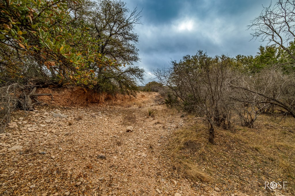 2488 Private Rd 3312 #ABST 922, Sonora, Texas image 47