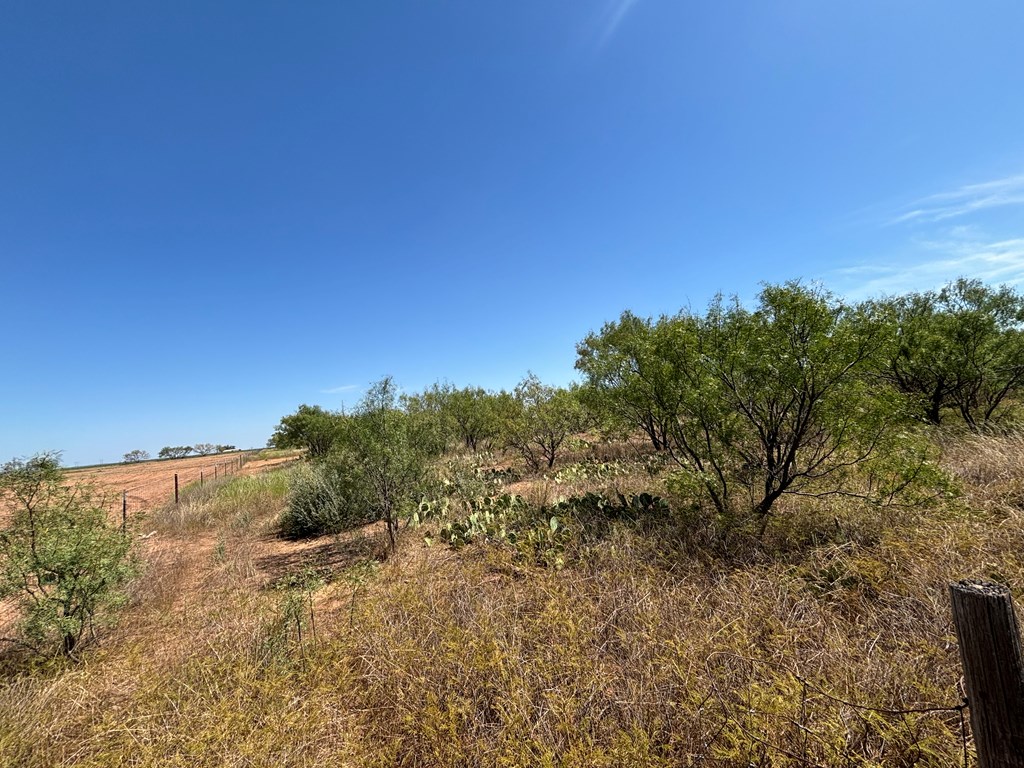 8886 Hooper Lane, Miles, Texas image 10