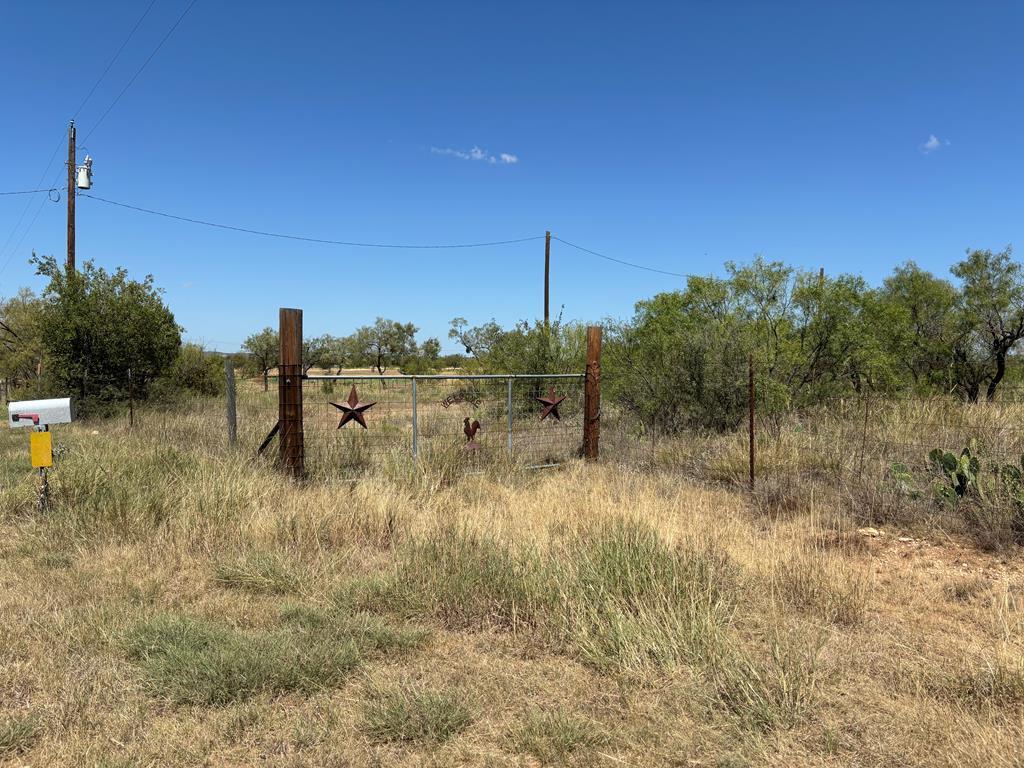 8886 Hooper Lane, Miles, Texas image 1