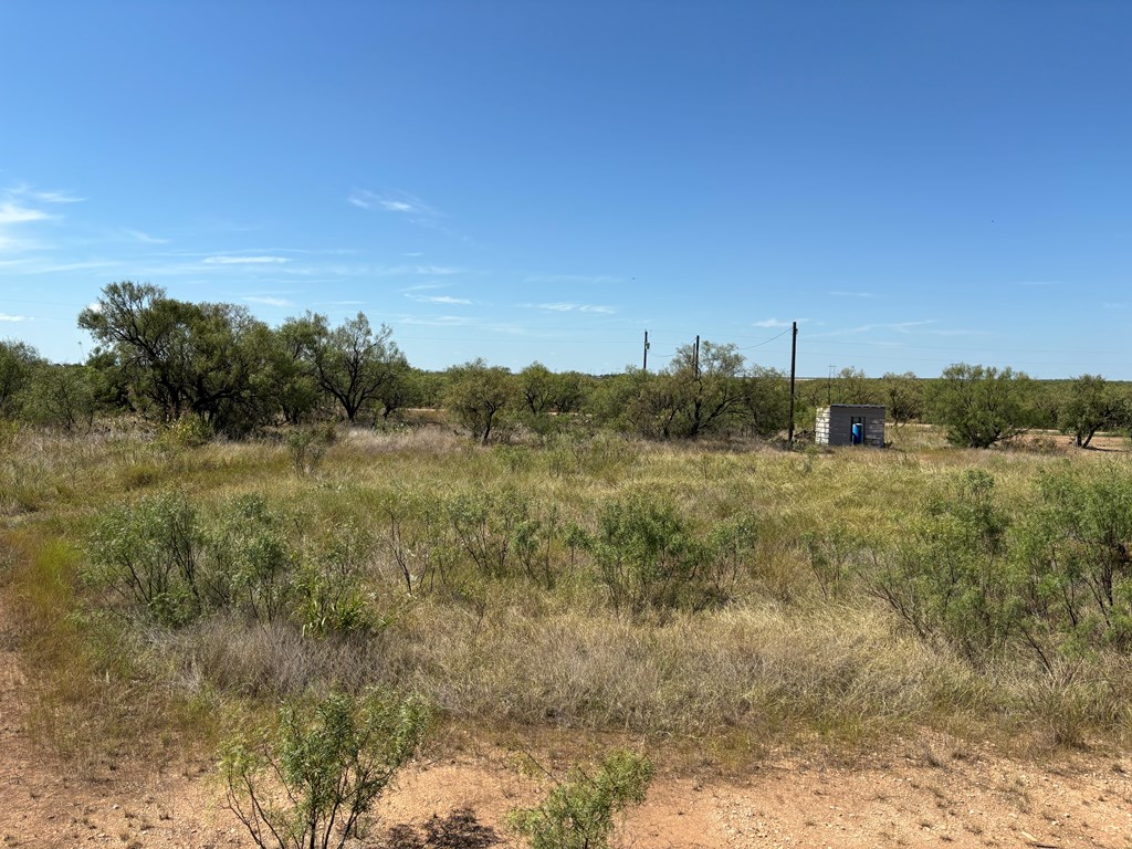 8886 Hooper Lane, Miles, Texas image 11